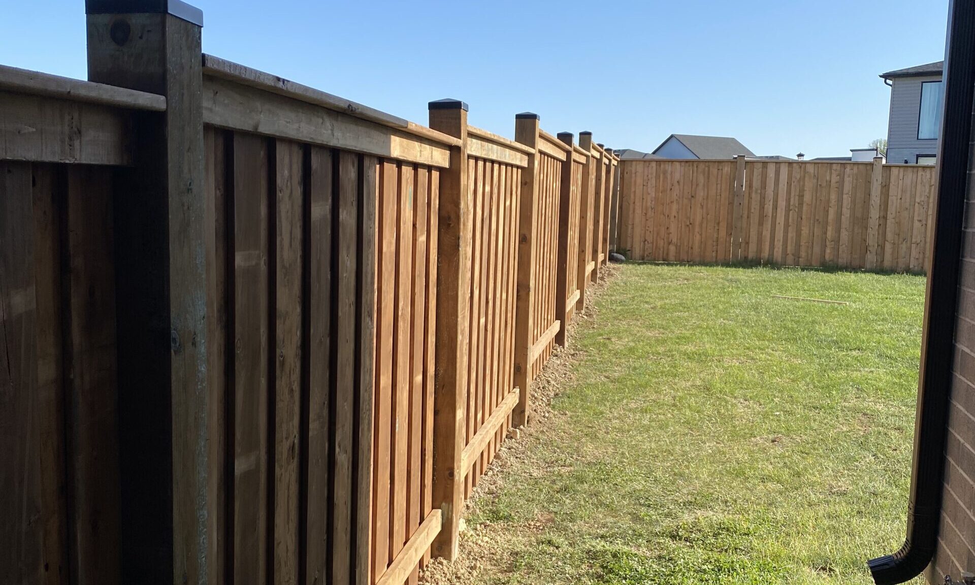 back fence replacement